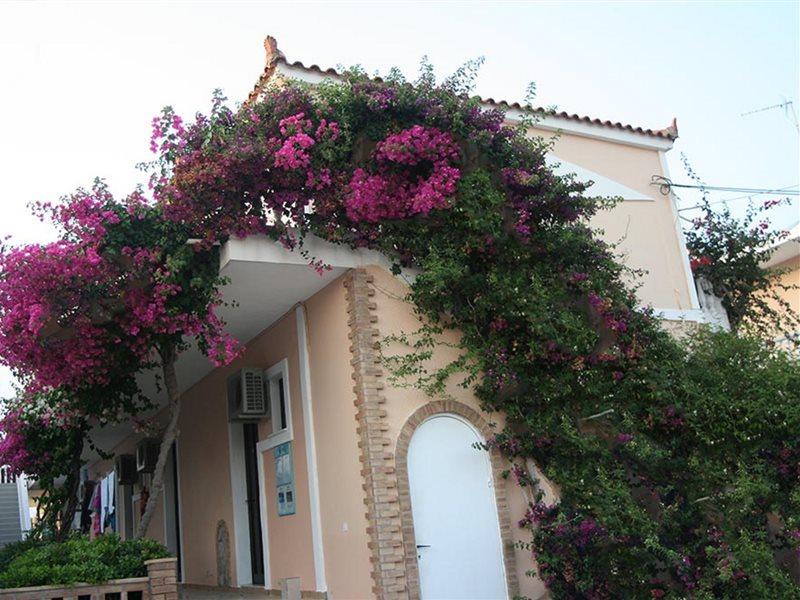 Asteri Studios Kalamaki  Exterior photo